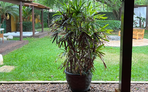 Suíte Familia Pousada Point Beach12